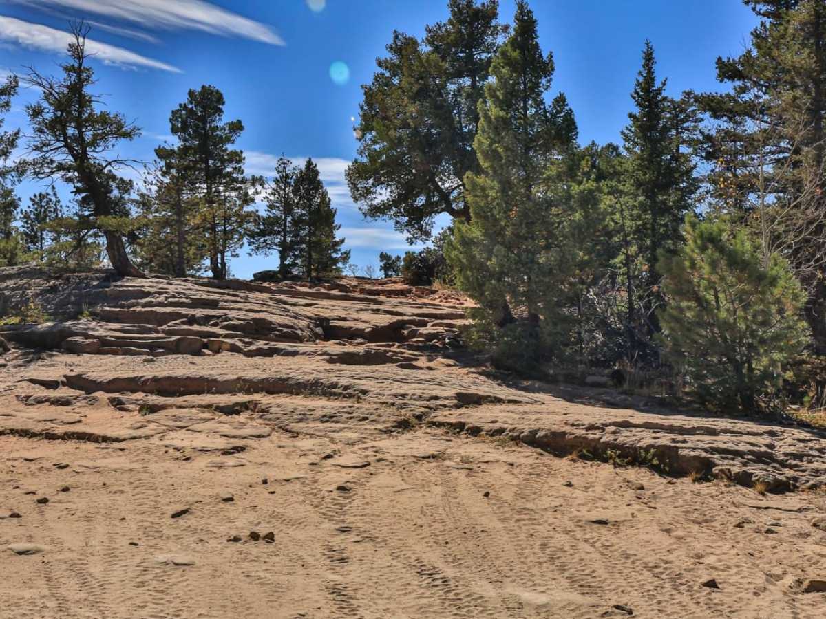Quarry (FS 350.B) photo 3