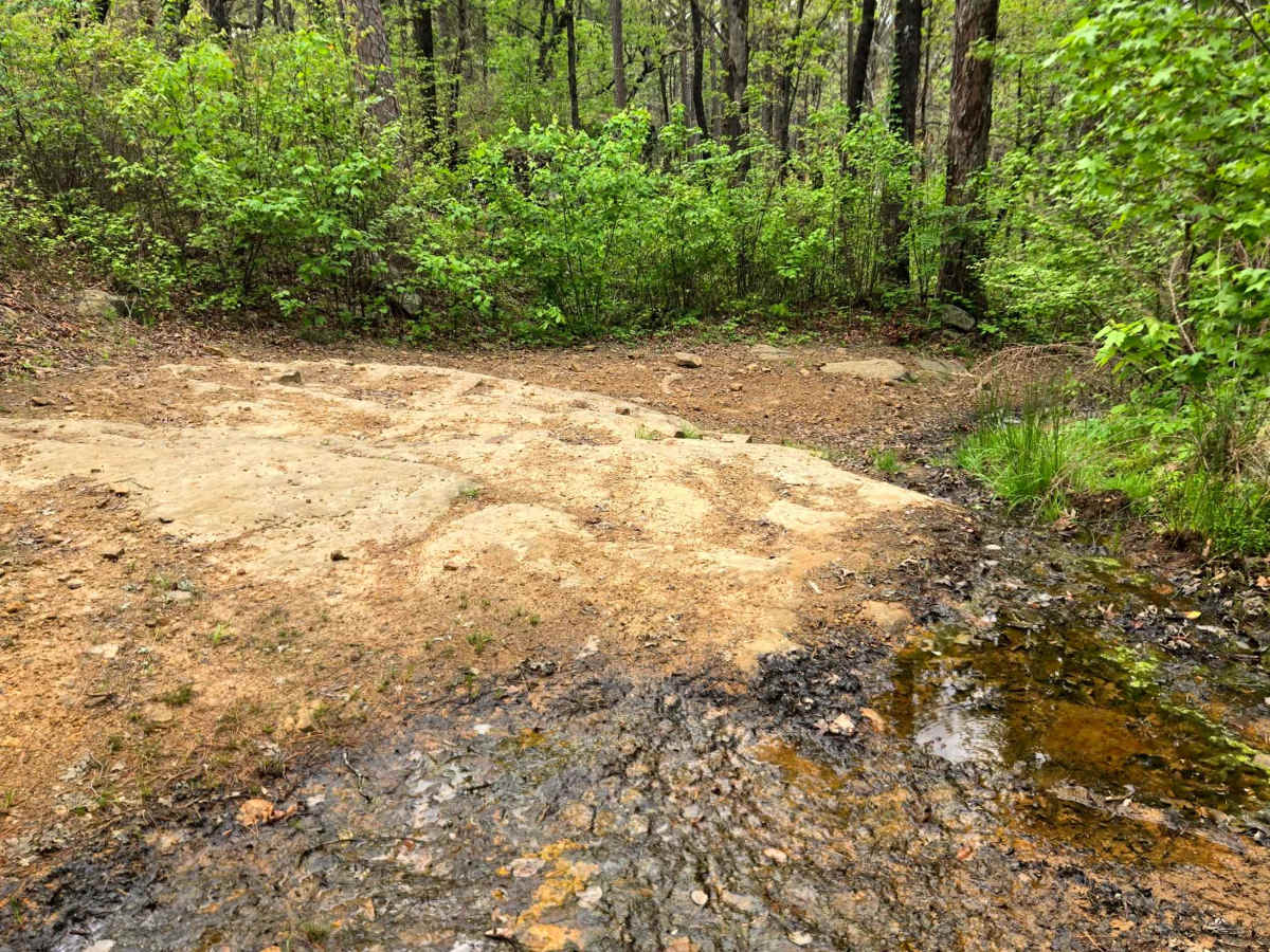 Firebreak Hunterwell trail photo