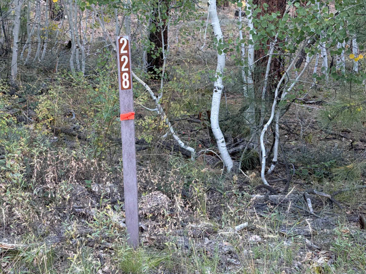 FS 228 trail photo