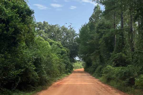 Paul Barnes Road