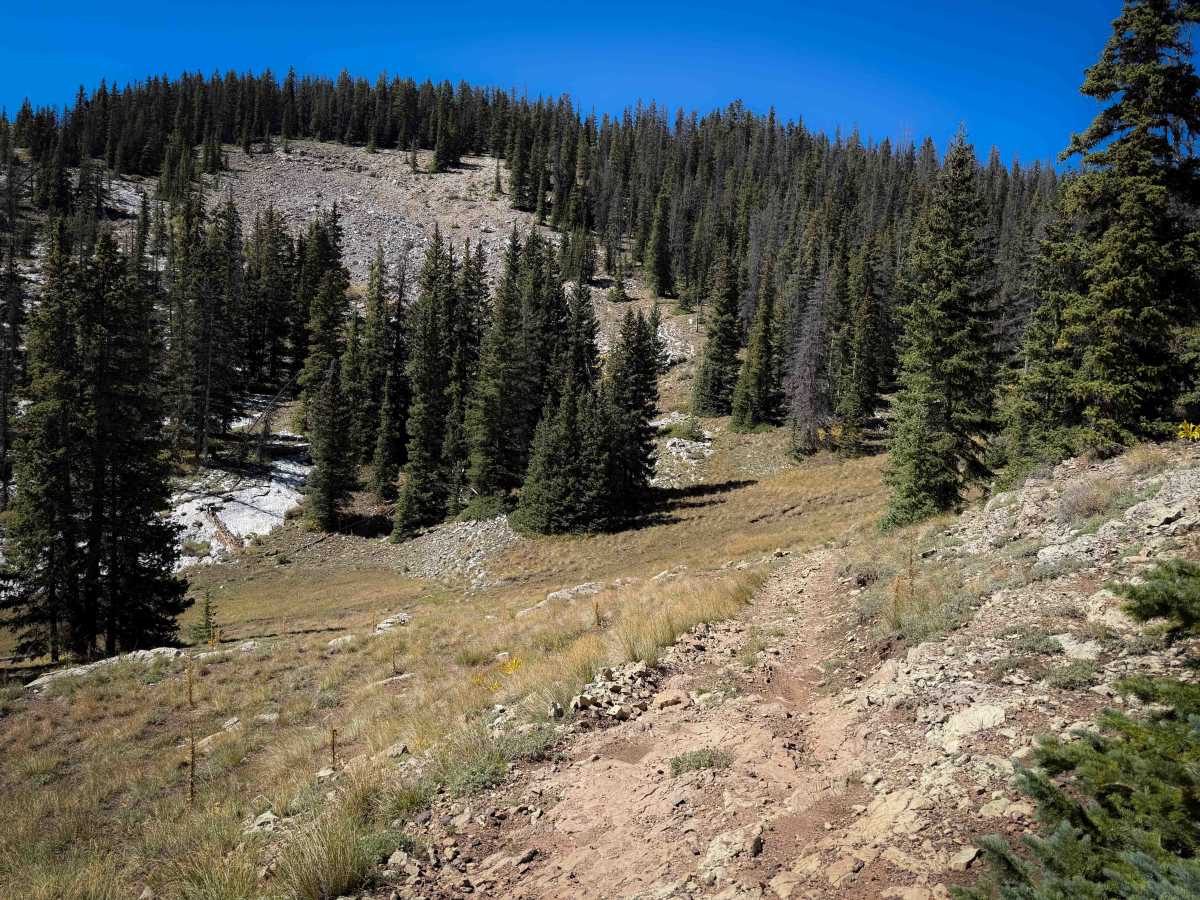 Willow Creek Trail - FS 479  photo 6