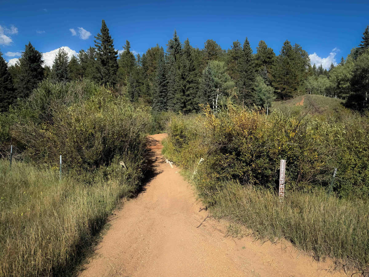 Rule Spur Trail - FS 717A  trail photo