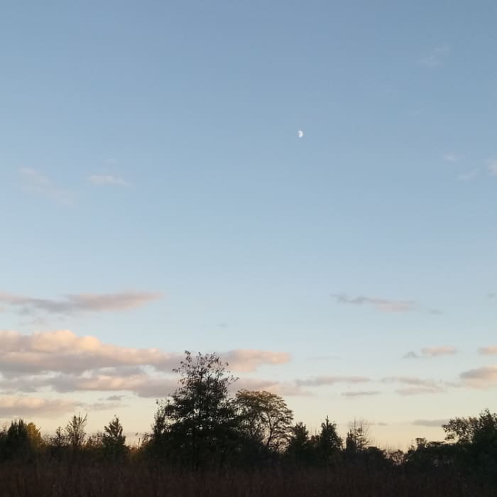 Near Blue Stem Trail