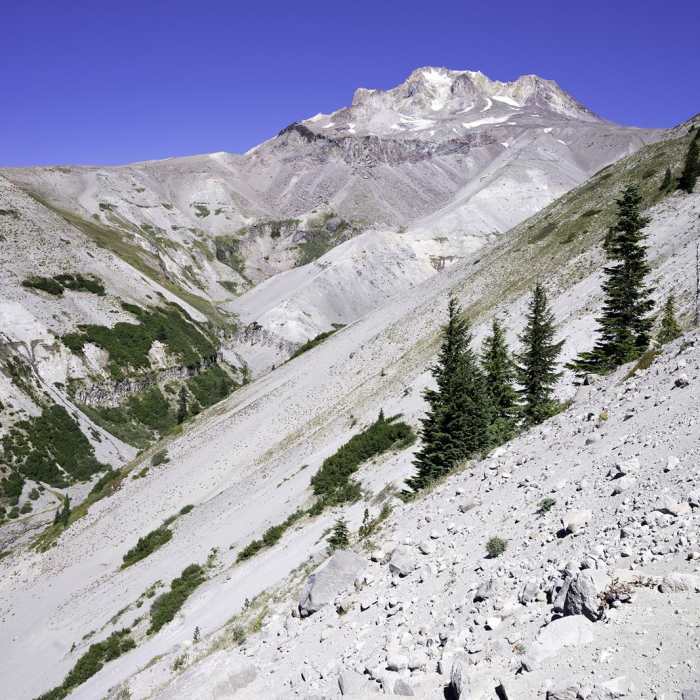 Near Timberline Lodge to Zig Zag Canyon Near Timberline Lodge to Zig Zag Canyon
