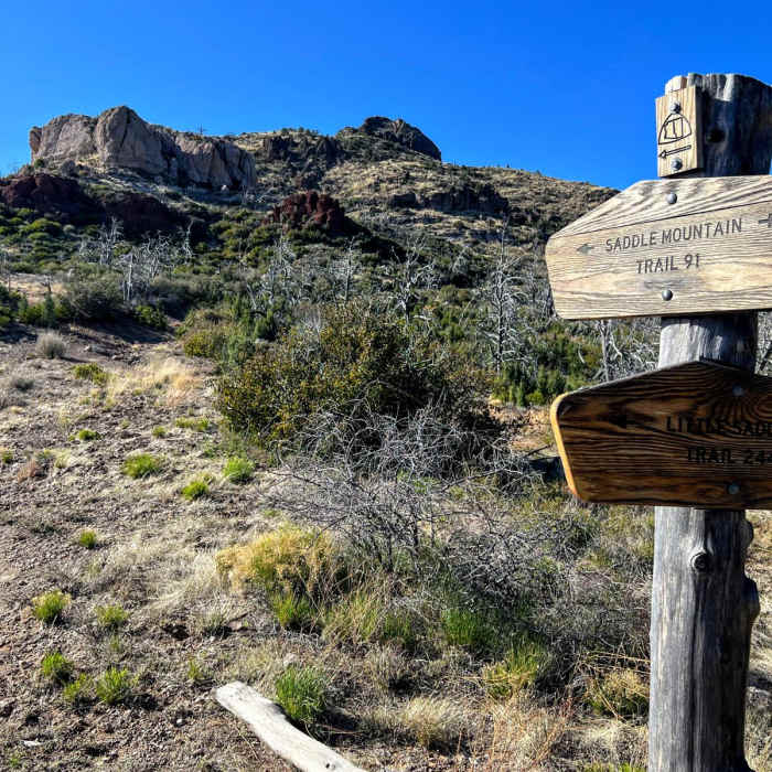 Near Arizona Trail Passage 22: Saddle Mountain