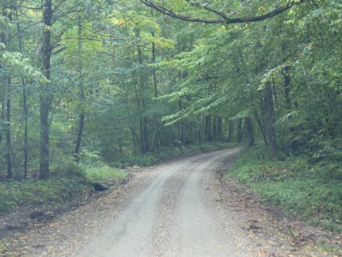 Klondike Road photo 4