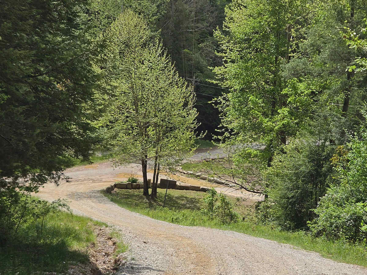 County Line/Brandenburg Road photo 2