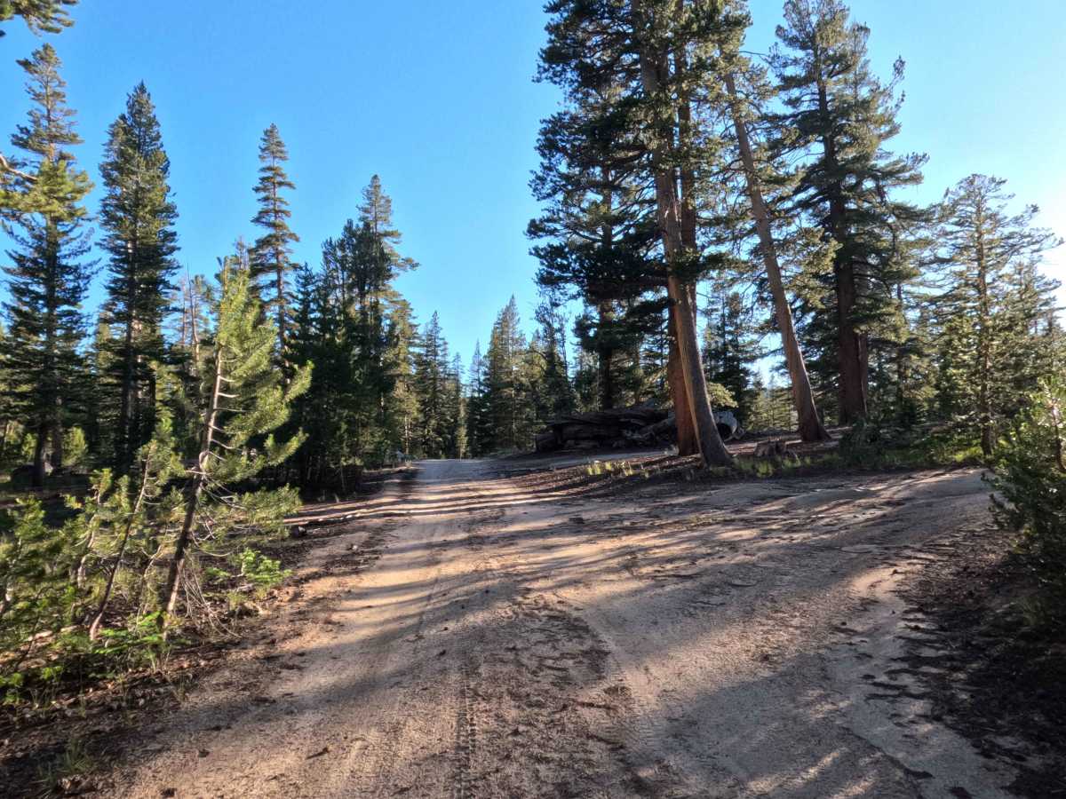 Unnamed Spur off Jobs Peak Trail Road - FS 31051 photo 4