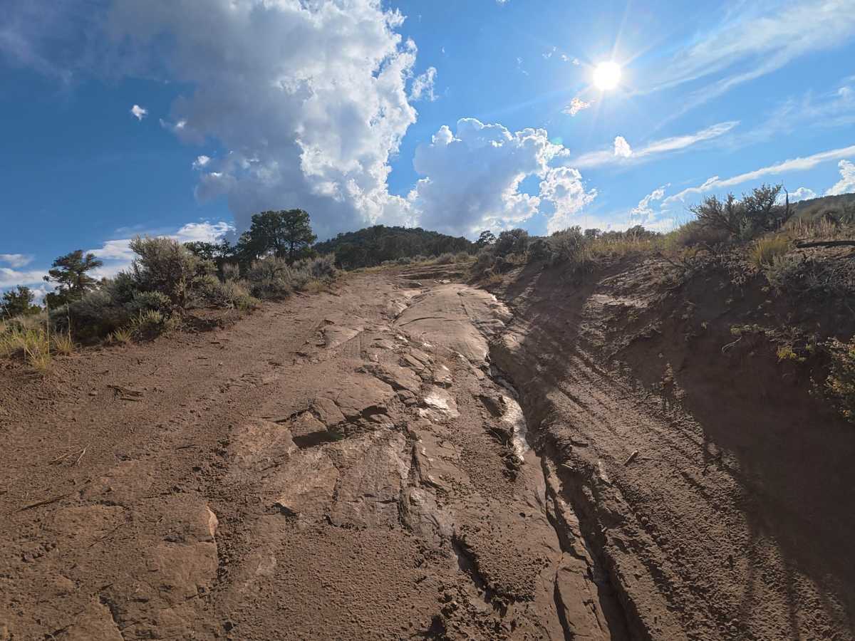 BLM 621 photo 3