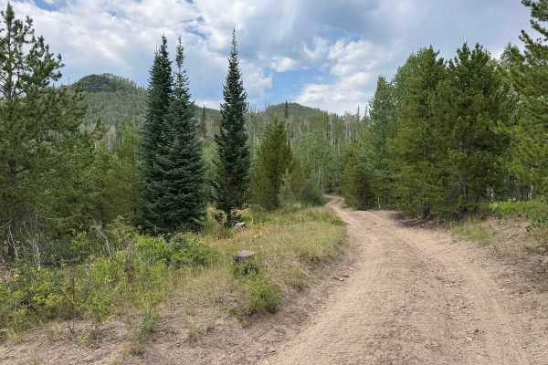 Long Draw Road