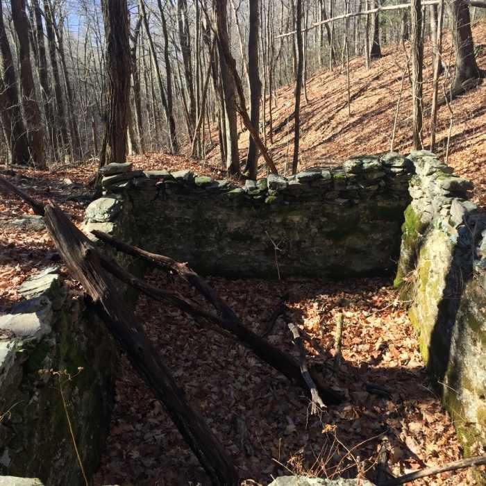 Lodge Spring House (slippery tree if you're heading in!) Near Rattlesnake Lodge Loop