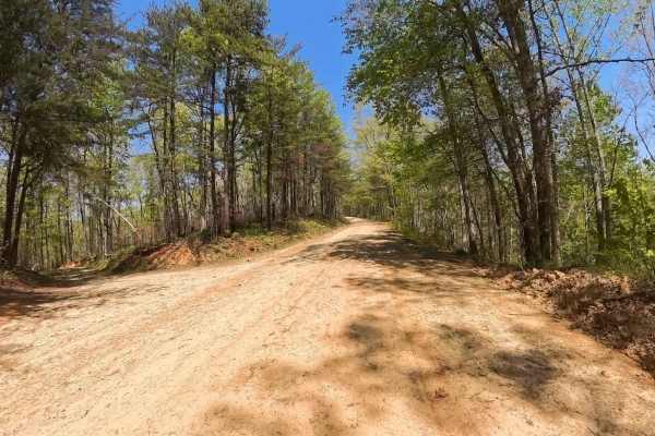 Forest Road 744C
