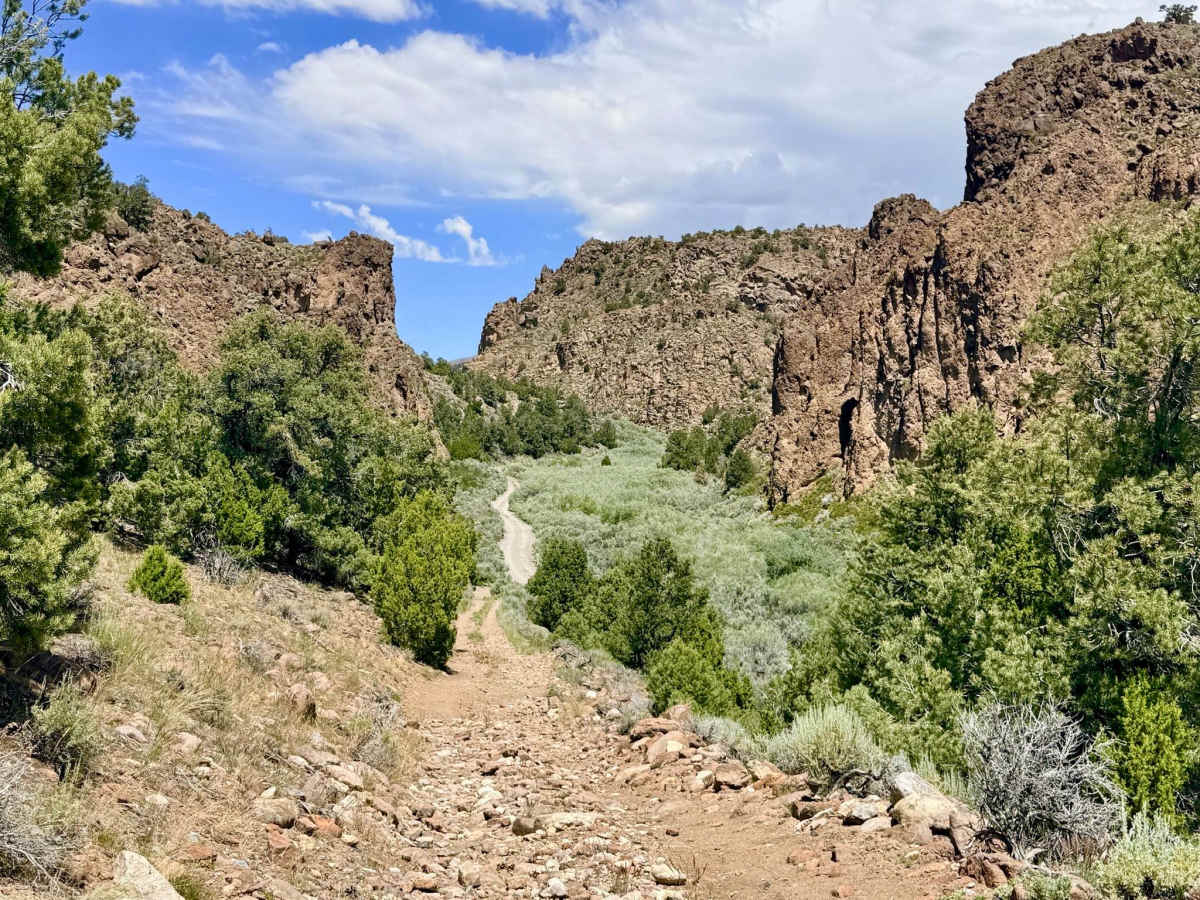 Anderson - FS 4443 trail photo