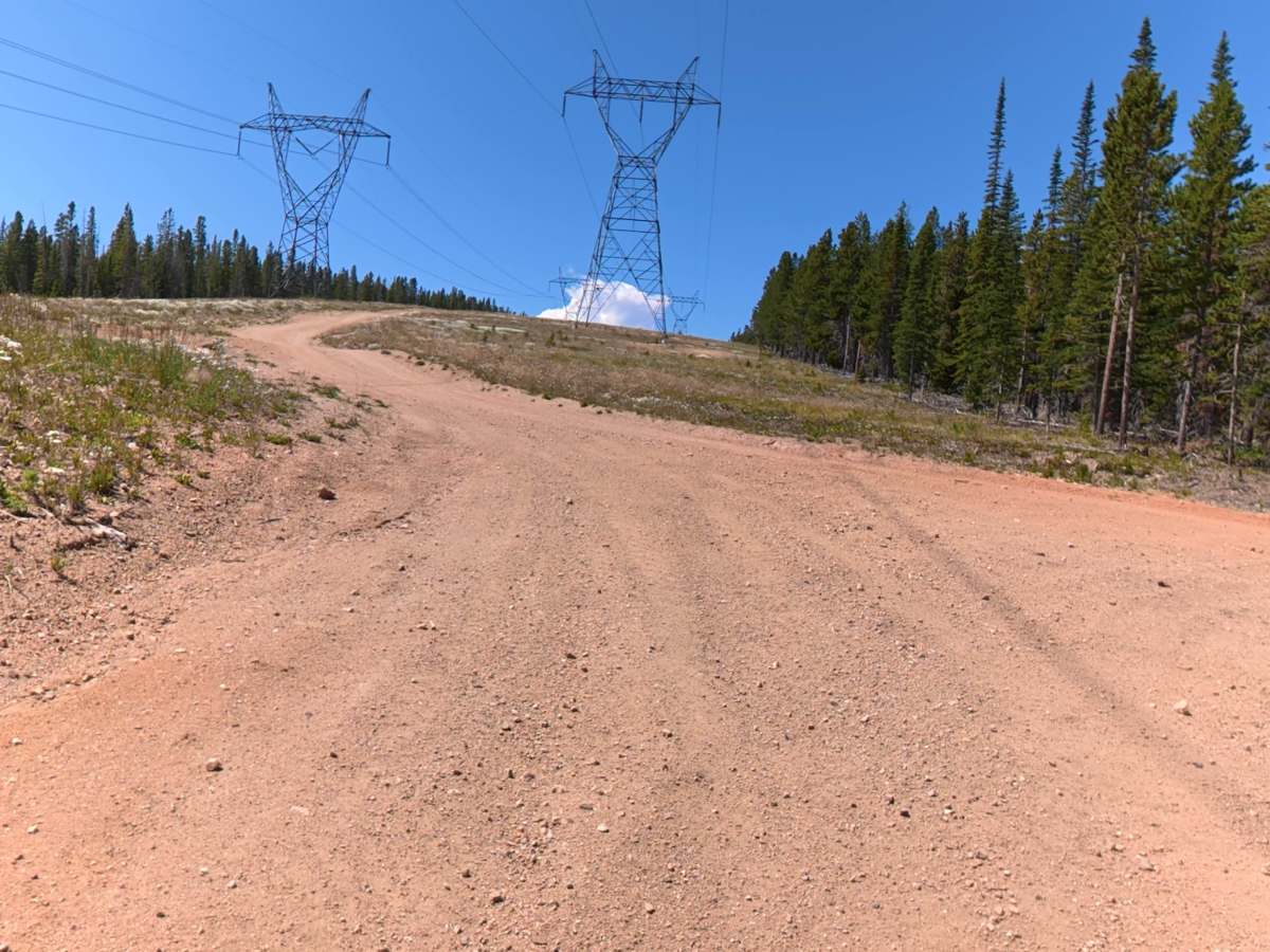 FS 876 trail photo