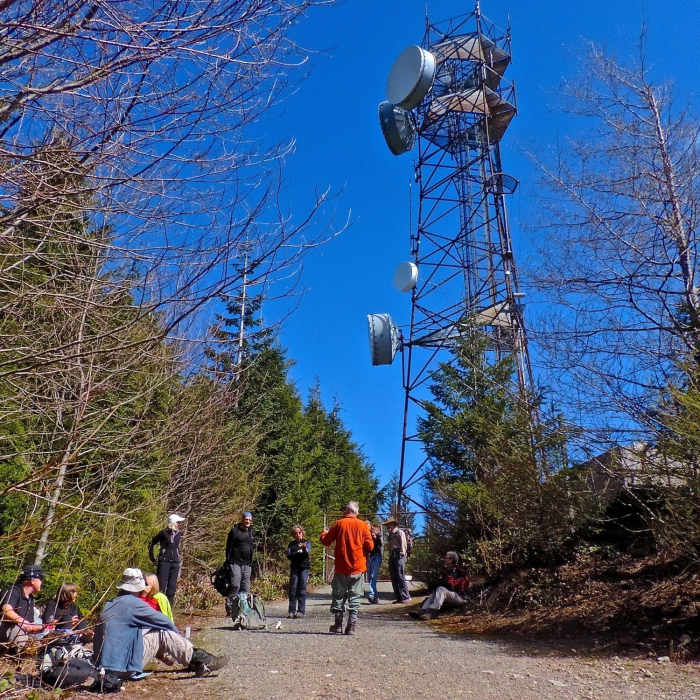 Near Tiger Mountain Road 5500