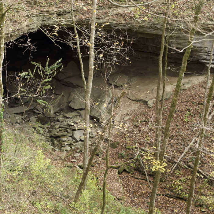Near Bunkum Cave Loop Trail