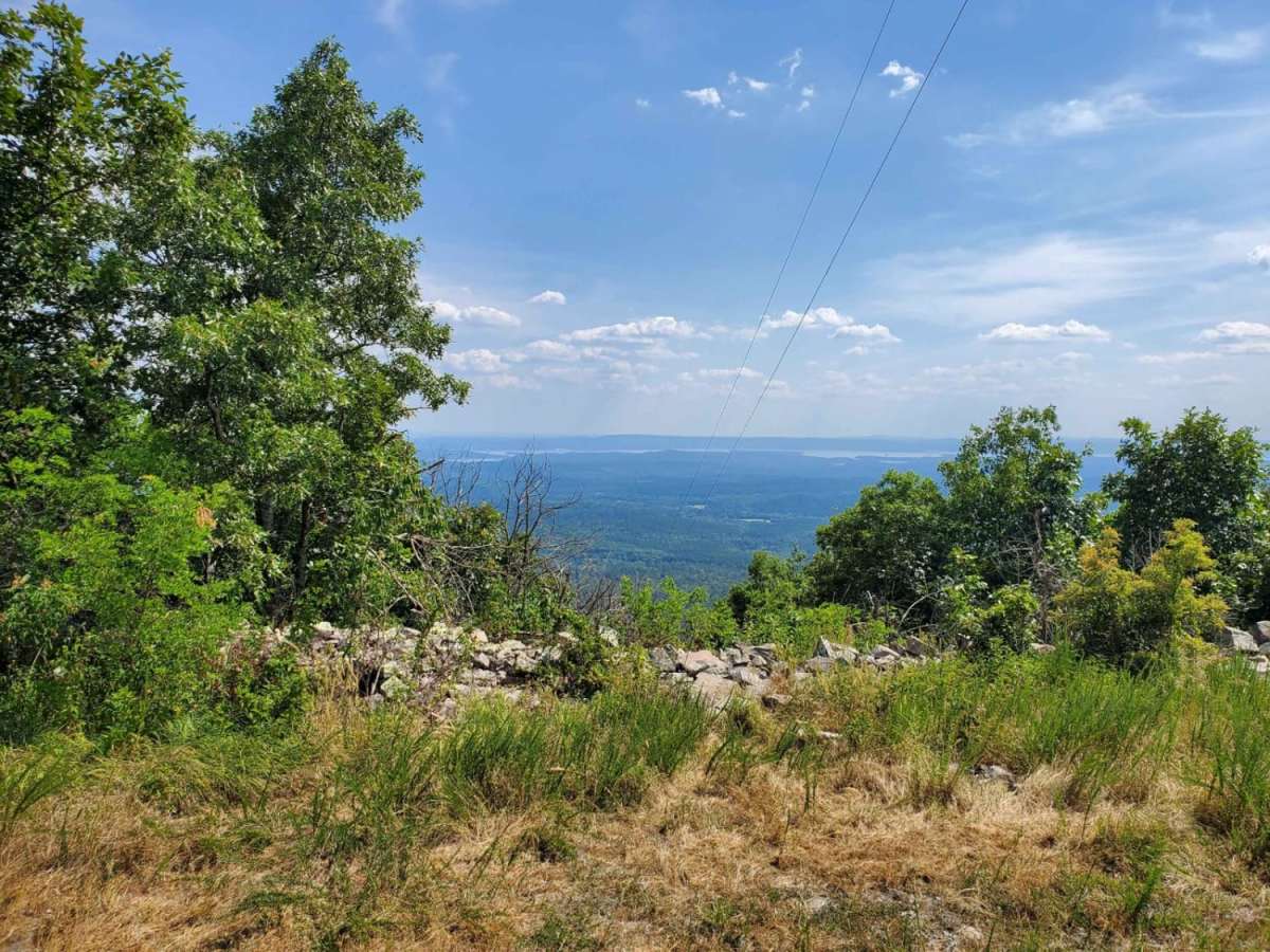 Ouachita Pinnacle 1952 FT photo 4