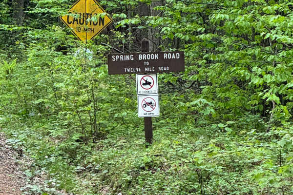 Spring Brook Road