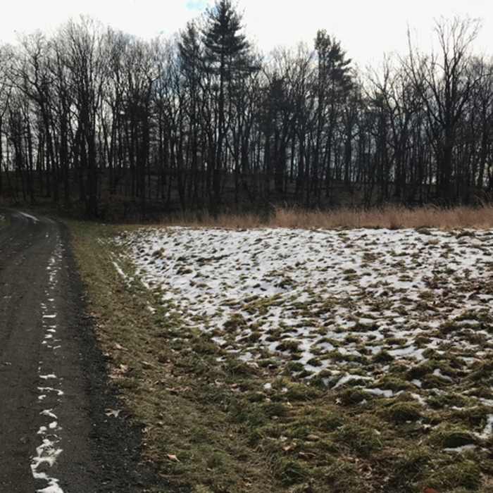 Near Laurance's Ridge Trail