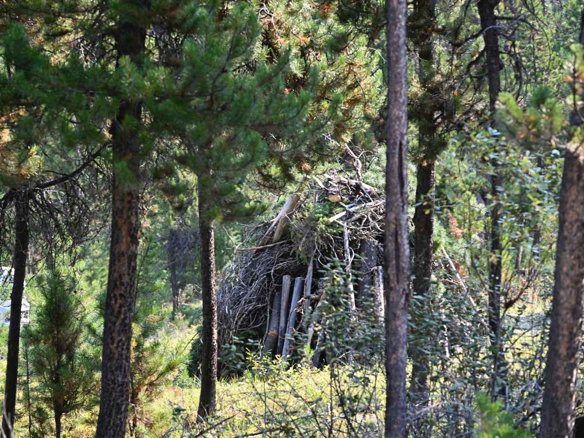 Poorman Creek photo 2