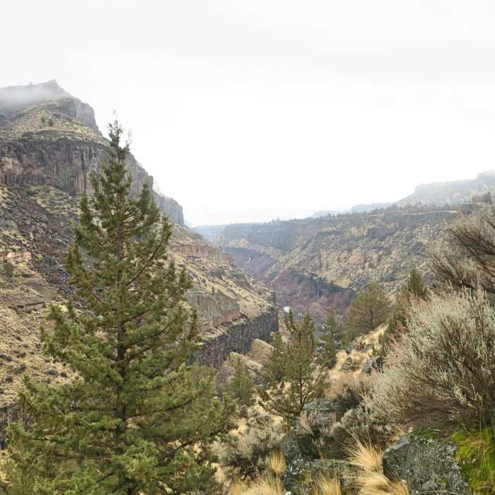 Near Otter Bench Loop Hike