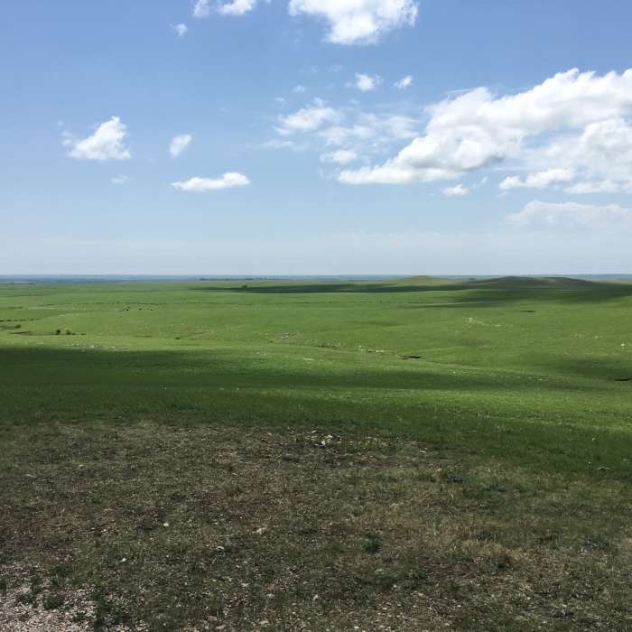 Near Scenic Overlook Trail