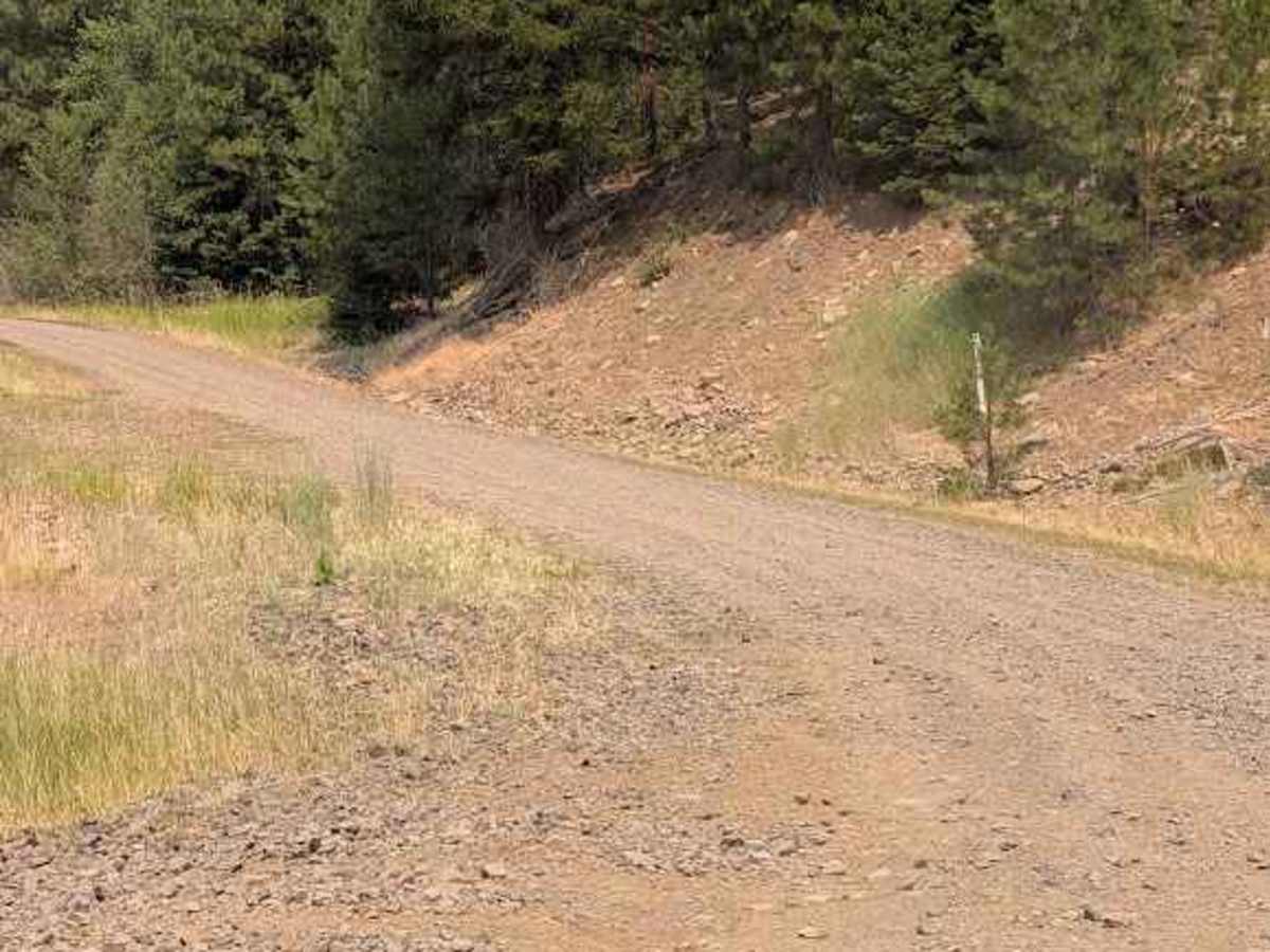 Naneum Basin Road photo 6