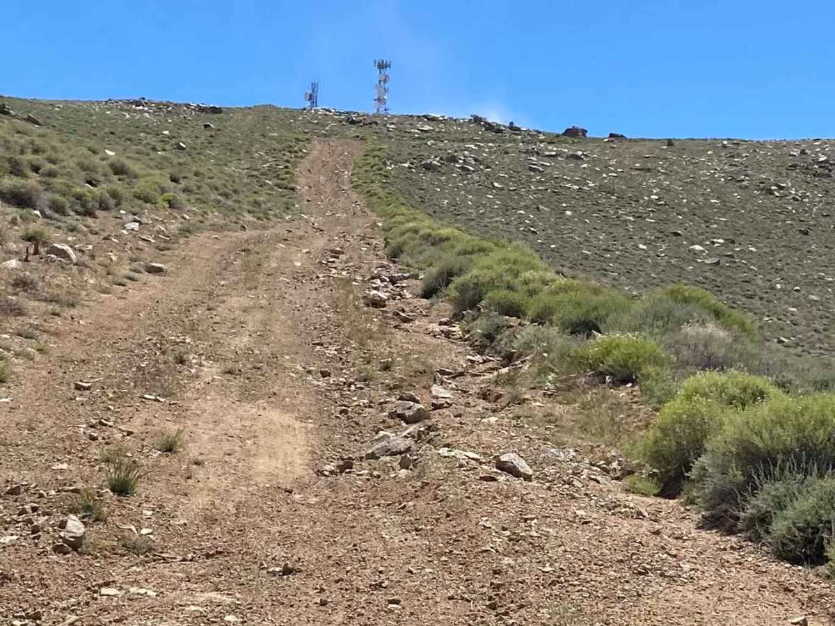 Bald Mountain trail photo