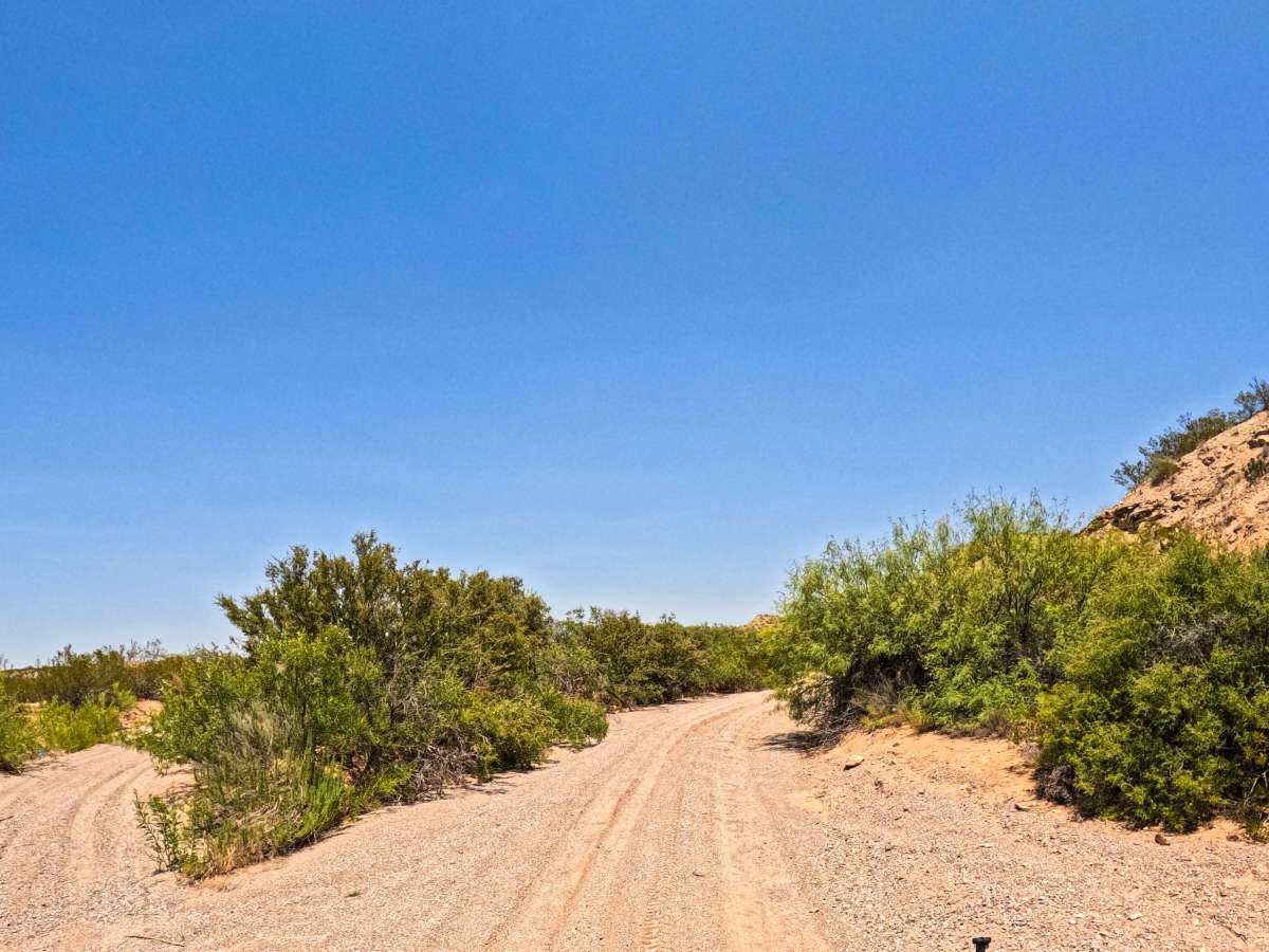 Desert Wind Way photo 3