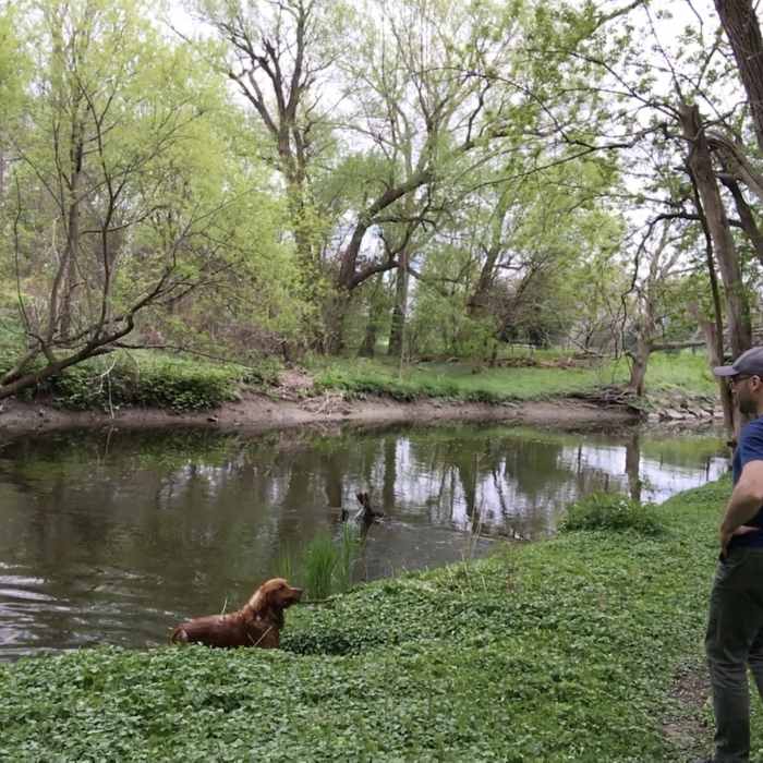 Near Ellicott Creek Trailway Park