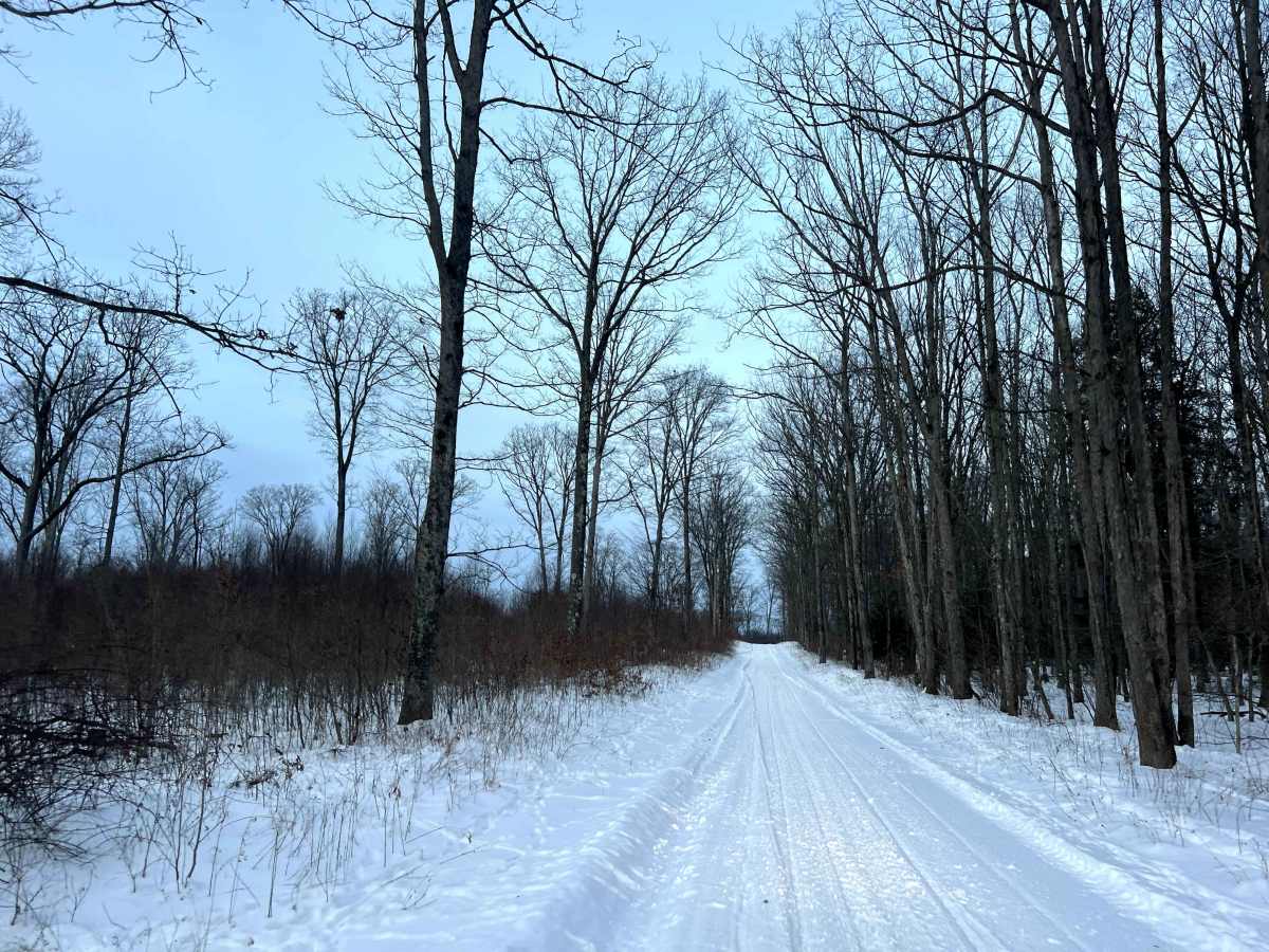 Shirks Road photo 2