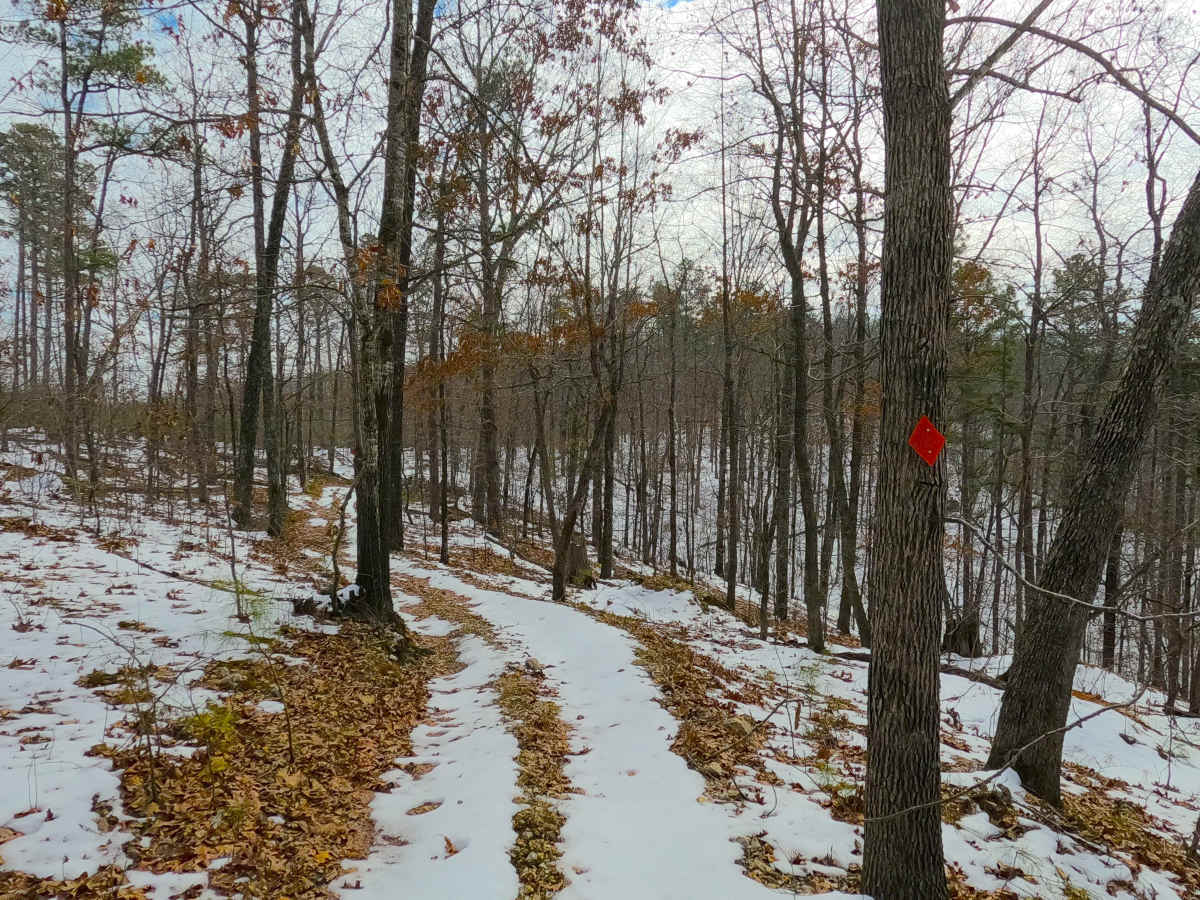 Sutton Bluff ATV 18 - SB 18 photo 6