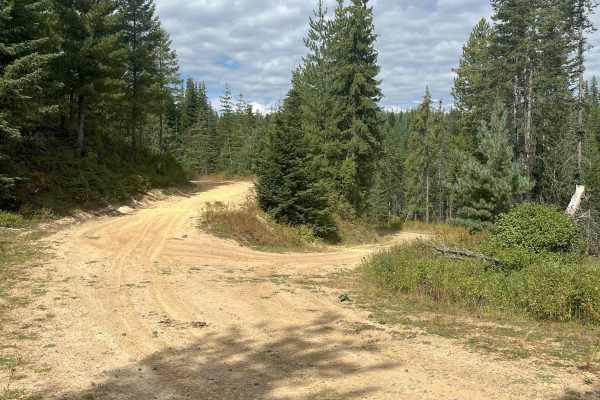 Moose Creek Lower Road Track