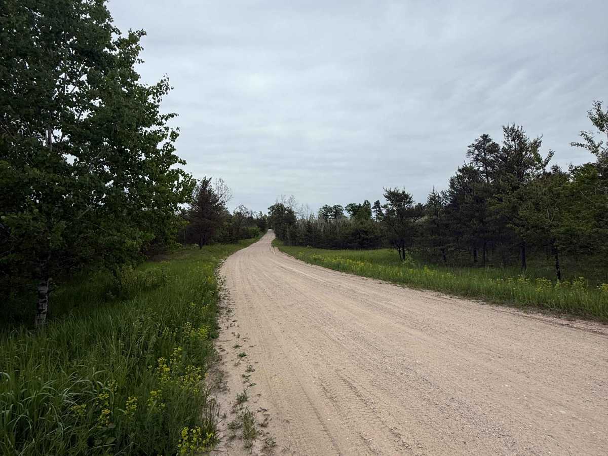 Brown Farm Trail trail photo