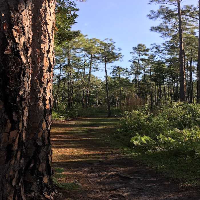 Near Tibet-Butler Preserve