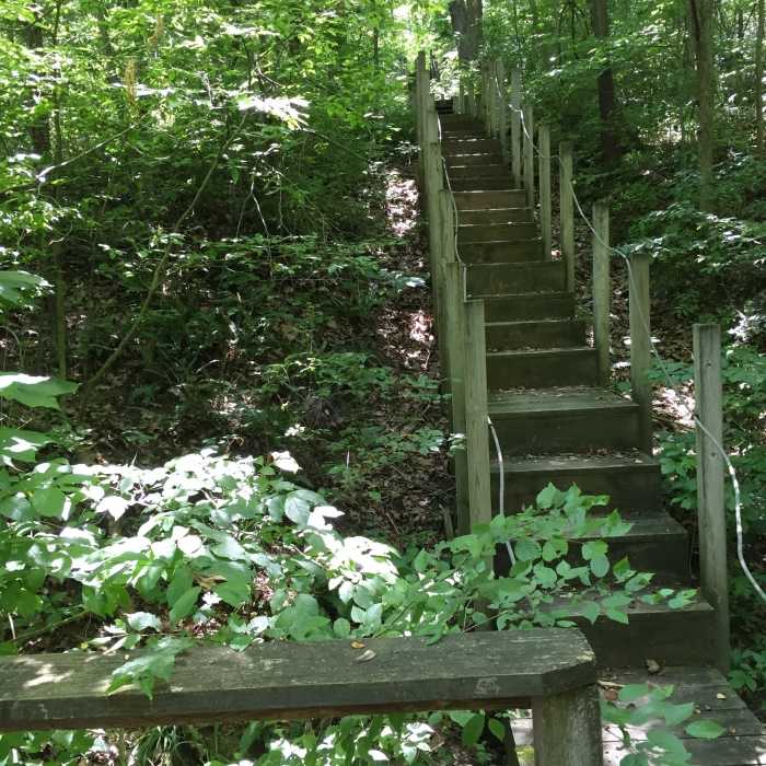 Near Lakeshore Trail