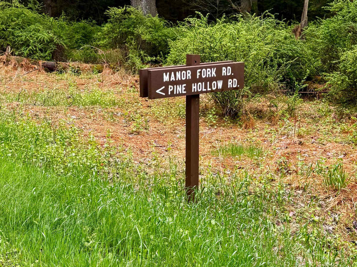 Manor Fork Road trail photo