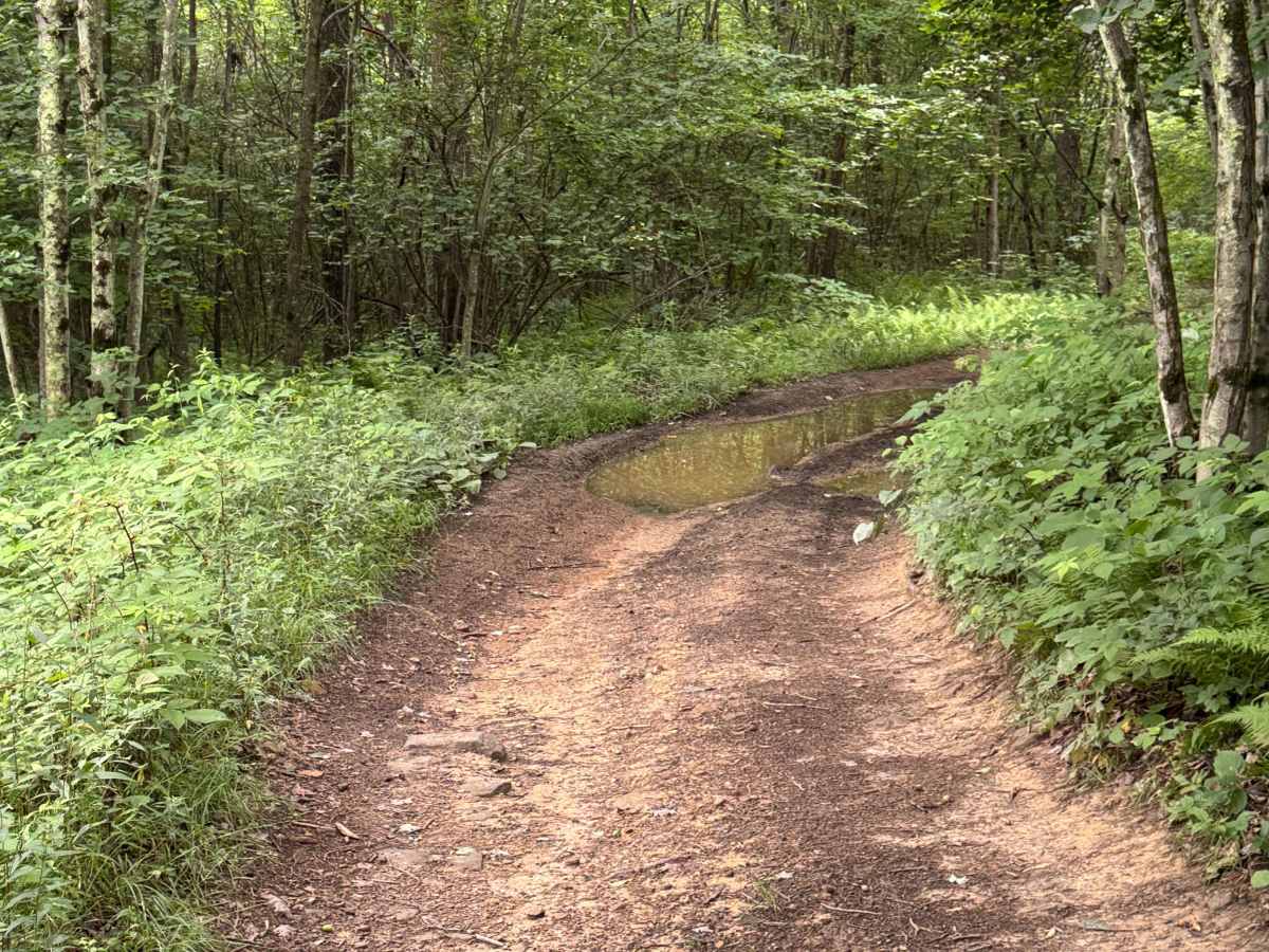 Trail 16 photo 2