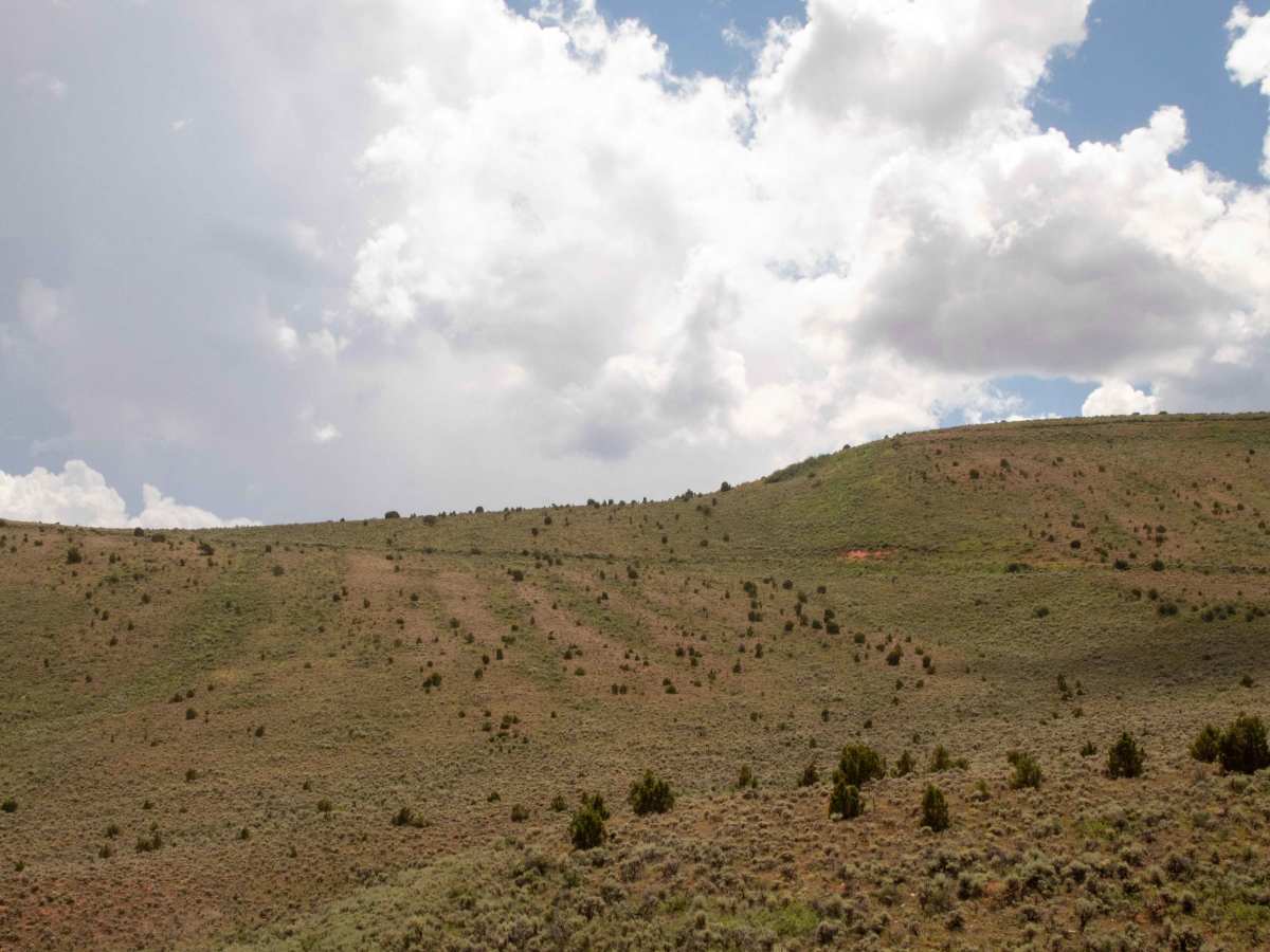 Cutoff Ridge Road (BLM AR13) photo 2