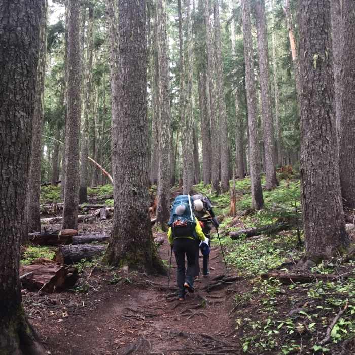 Near Emmons Moraine Trail