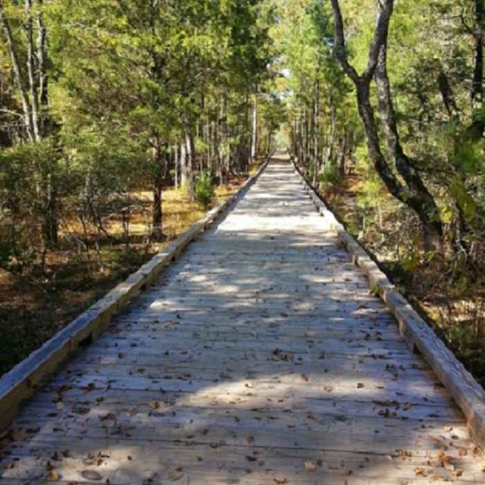 Boardwalk leading to Panola Mtn. Outlook. Near Panola Mountain State Park to South River Trail