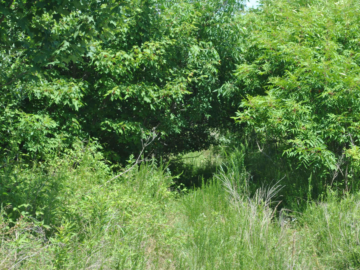 25B photo 6