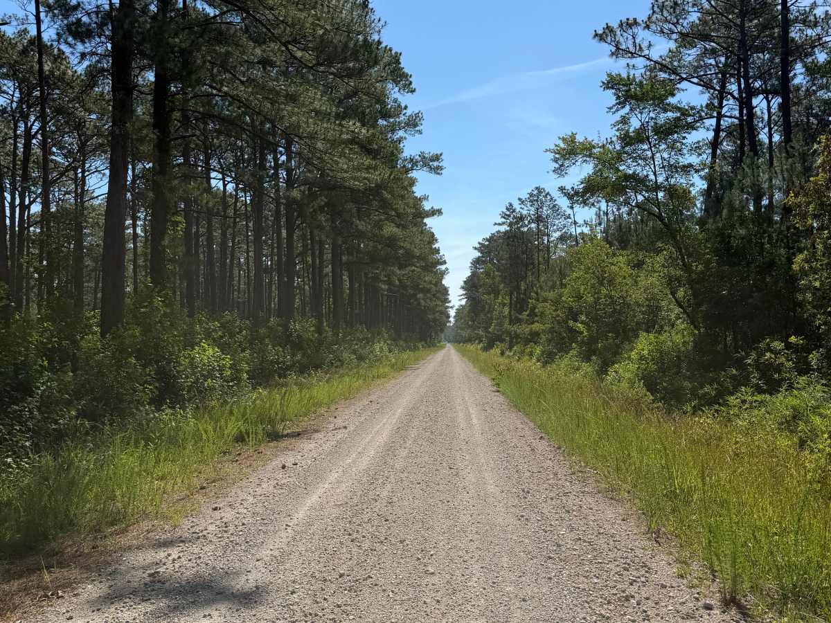 Brown Road - FS 121D photo 6