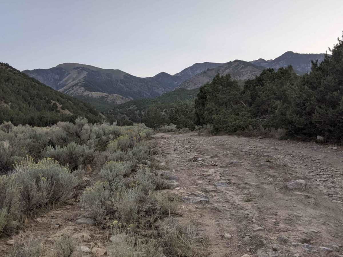 Box Elder Canyon South trail photo
