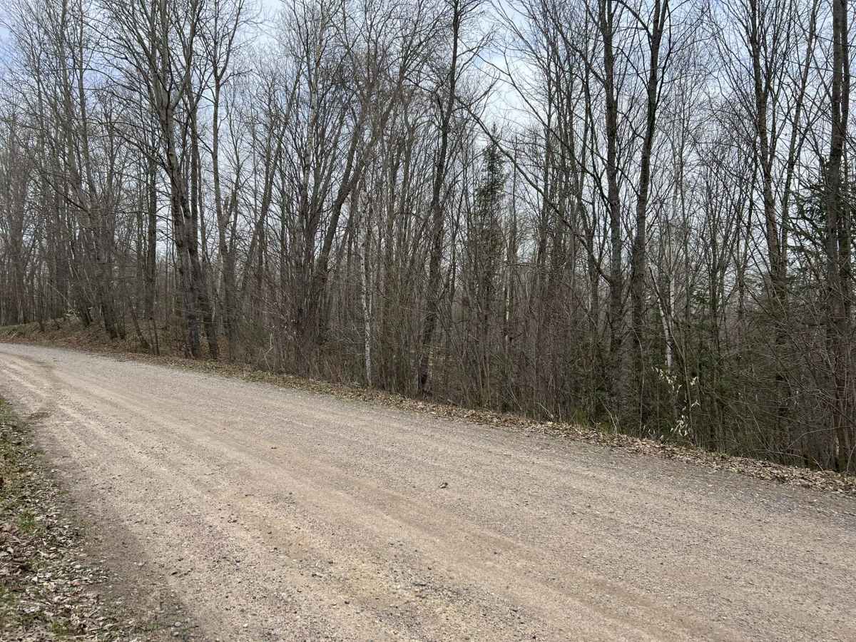 Saul Springs Road photo 5