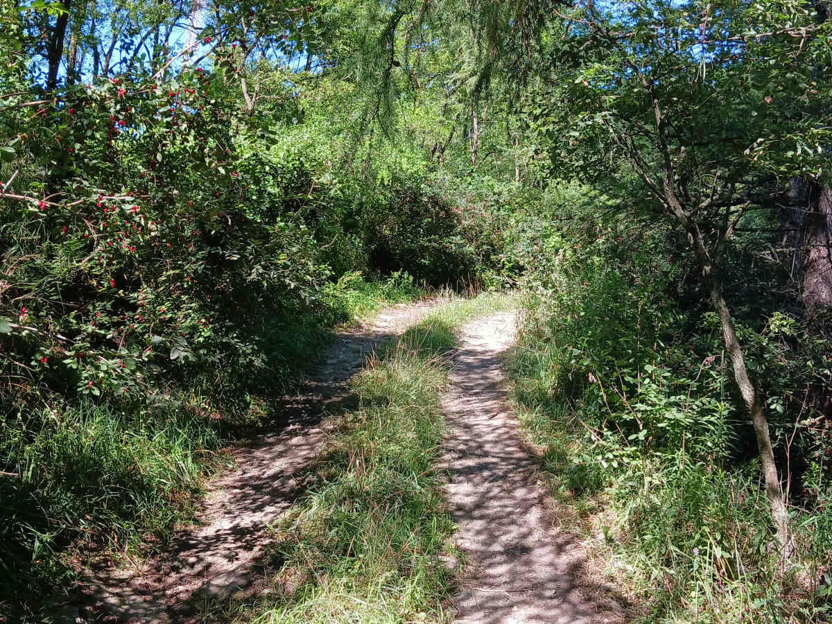 Trail 13D - Rock Run Recreation Area photo 3