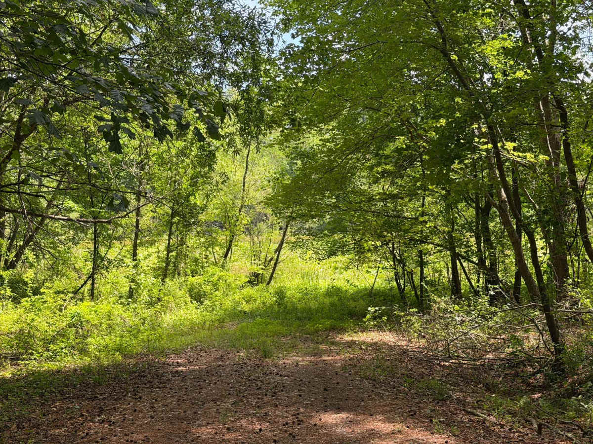 Beaver Pond Road photo 2