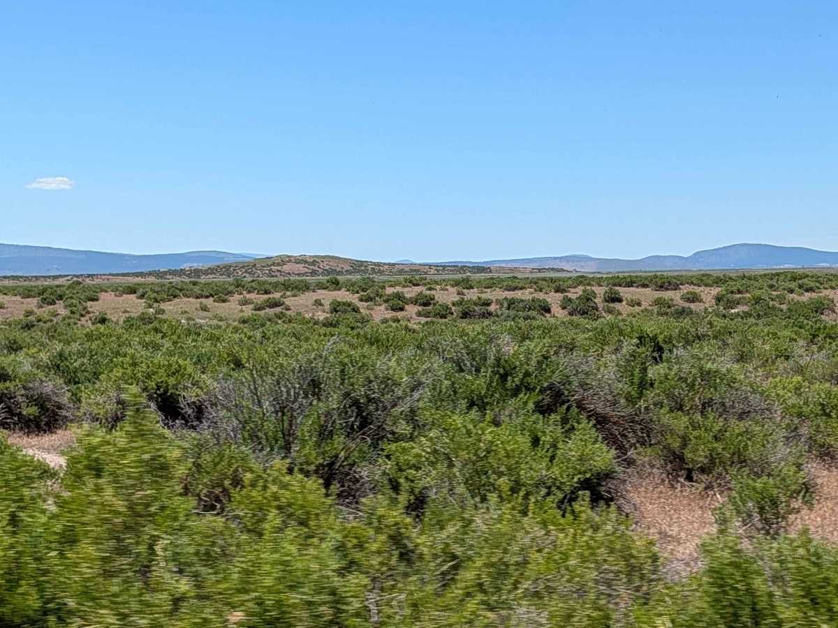 Lower Klamath Road photo 3