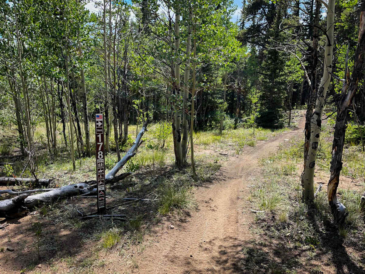 #178  trail photo