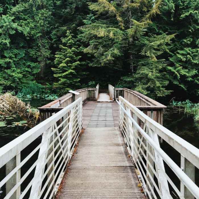 Near Lake Swano Trail